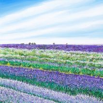 Lavender Field Giclee Print