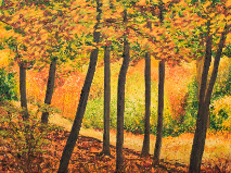 Nothing Gold Can Stay II Giclee print Autumn Trees Woodland Leith Hill Image Becca Clegg