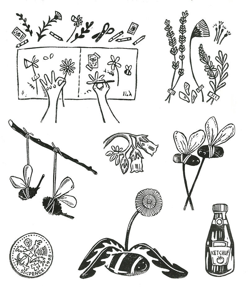 Bumblebee Conservation Trust