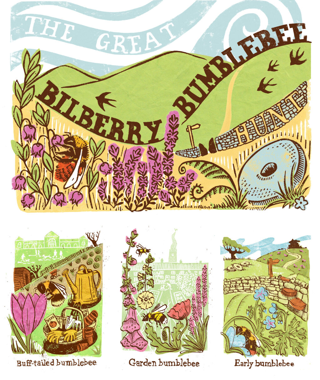 Bumblebee Conservation Trust