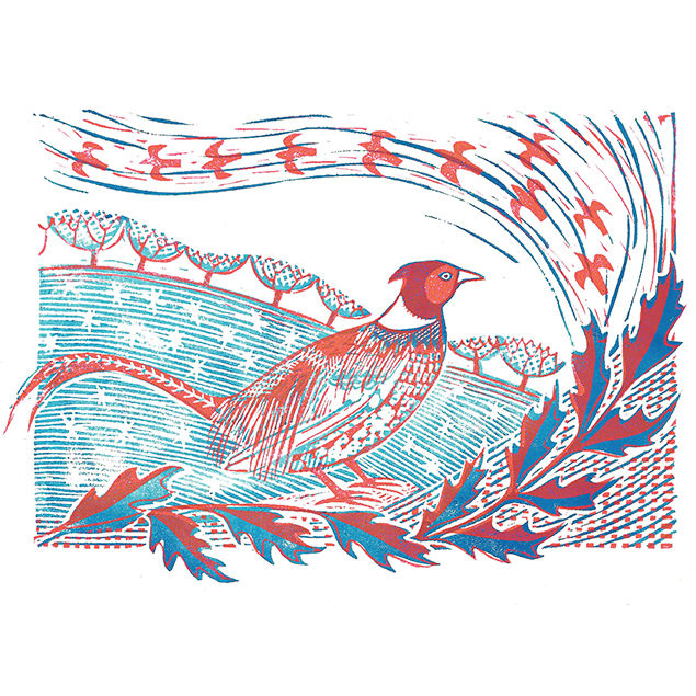 Christmas Cards