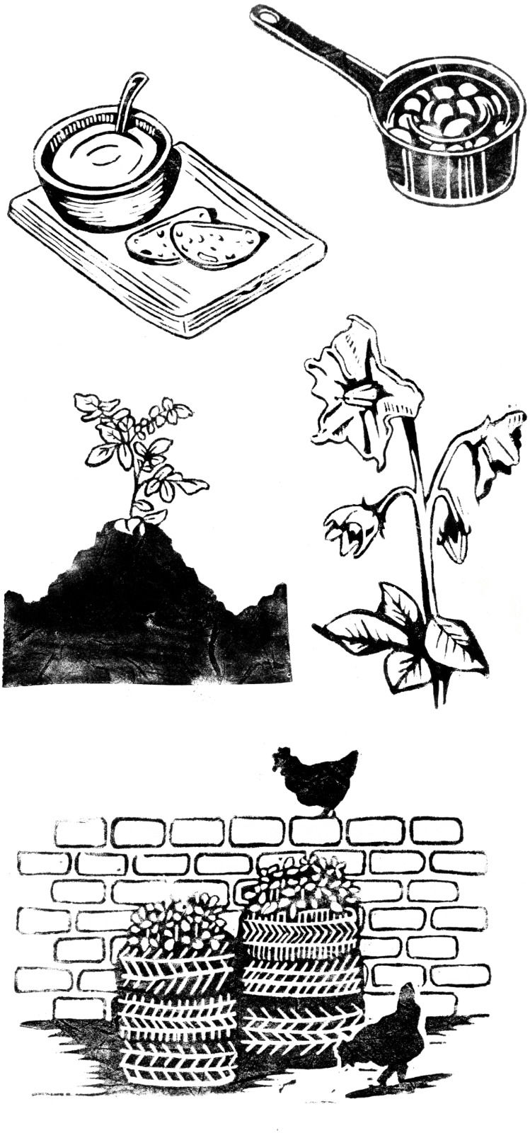 National Trust Books