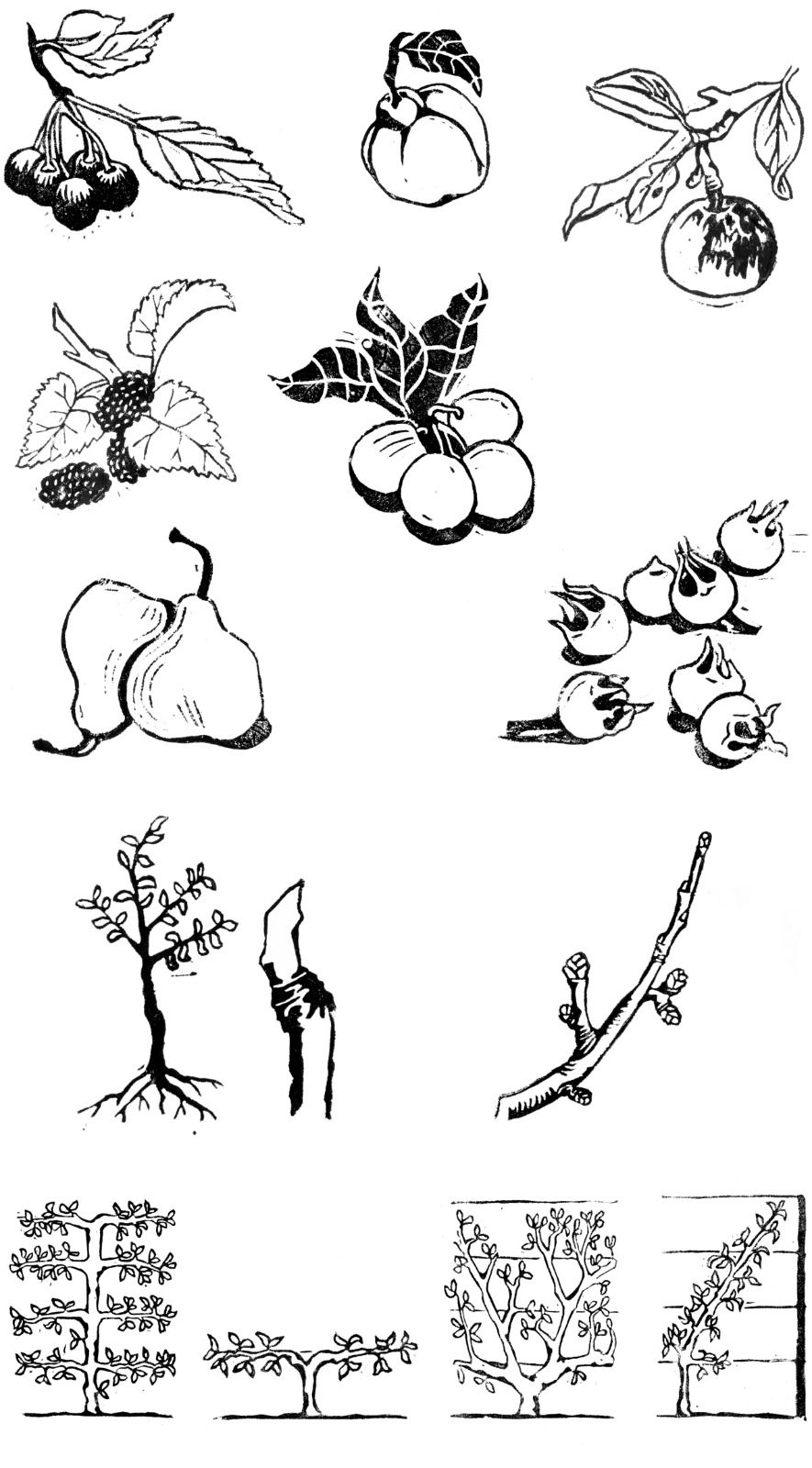 Anova Books