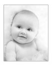 Prints 3rd equal: Ava