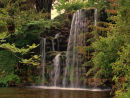 Projected Image 2nd equal: Private Waterfall