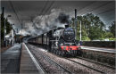 Projected Image 2nd equal: Steam Powering Through