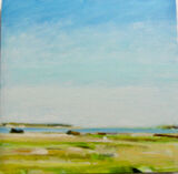 Looking to Tentsmuir