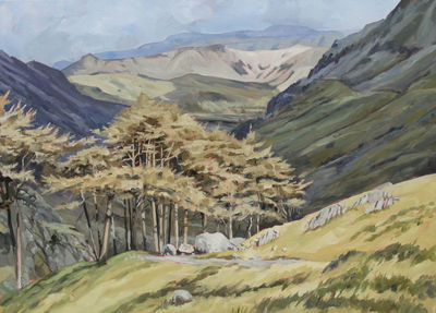 Winter Larch above Taylorgill Force and the 1000ft Boulder. The Lake District