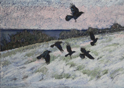 Winter Crows, Firth of Forth