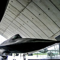 Blackbird at Duxford