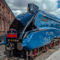 Doncaster Plant 150th Anniversary