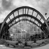 Winter Gardens 2015
