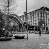 winter gardens 2015