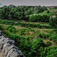 Derbyshire