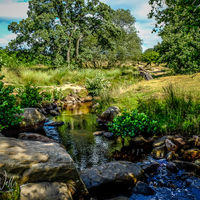 Burbage Brook - Derbyshire