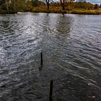Clumber Park