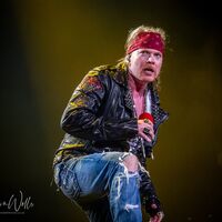 Guns N' Roses