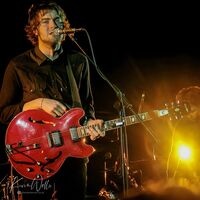 Courteeners