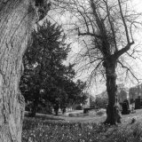 Renishaw Hall North East Derbyshire 2015