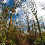 Renishaw Hall North East Derbyshire 2015
