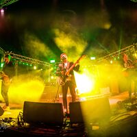 Rosadocs Tramlines 2025