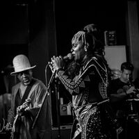 Ibibio Sound Machine