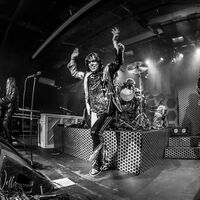 The Struts