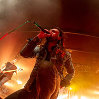 While She Sleeps