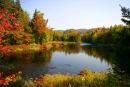 The autumn colours in Tremblant National Park Quebec