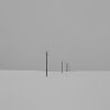 Snow Poles