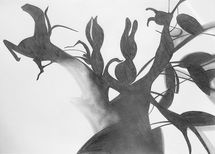 Lilies 2 (2017) 42cm x 59cm