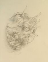 Heart (2016)