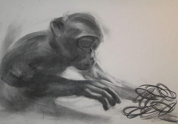 Monkey Under Water (2006) Charcoal on paper