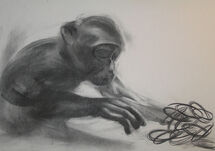 Monkey Under Water (2006) Charcoal on paper