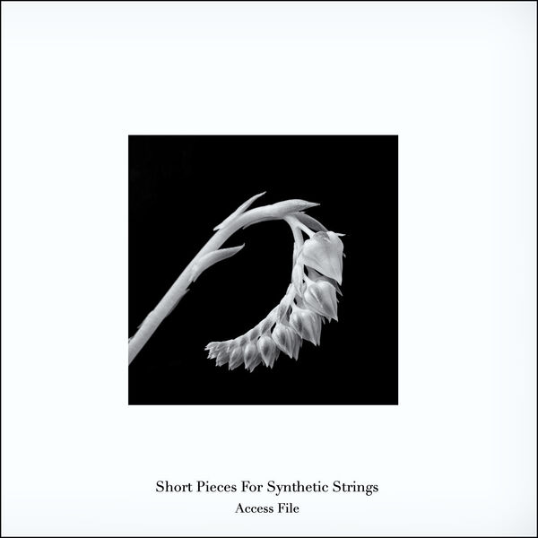 Short Pieces For Synthetic Strings