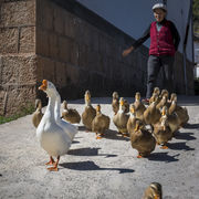 Yunnan province, China