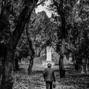 Cemetery of Confucius, Qufu, Shandong province