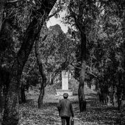 Cemetery of Confucius, Shandong province