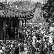 Humble Administrator's Garden, Suzhou