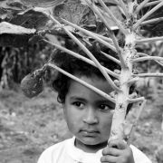 Mindo Organic garden for single mothers - Ecuador