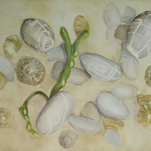 Widemouth Bay Pebbles watercolour