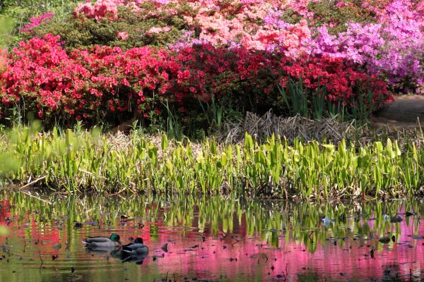 Colourful Reflections