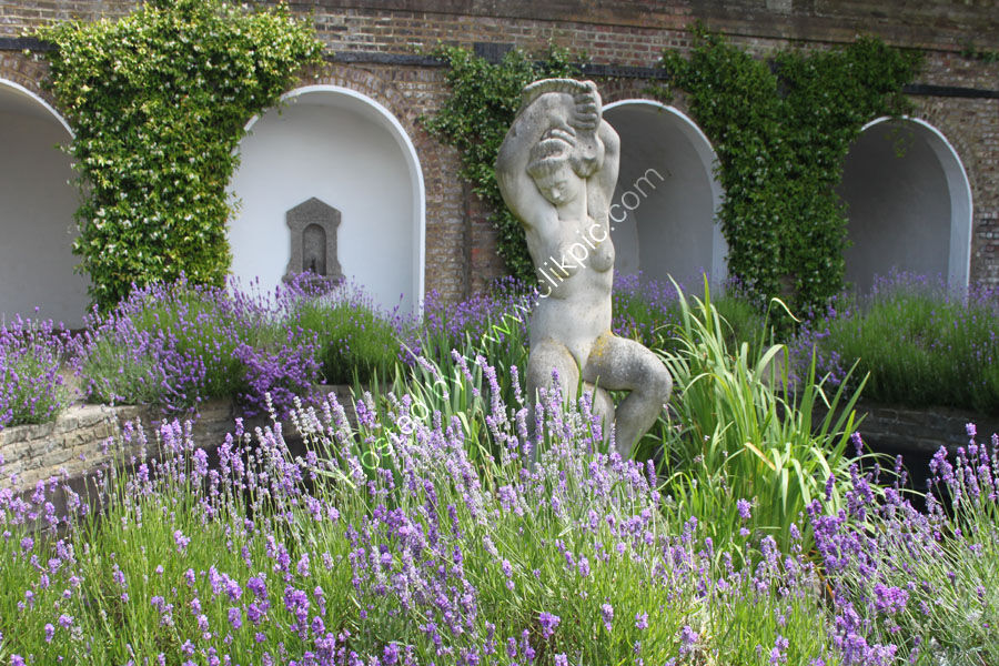 Female Sculpture amidst Fragrant Lavender