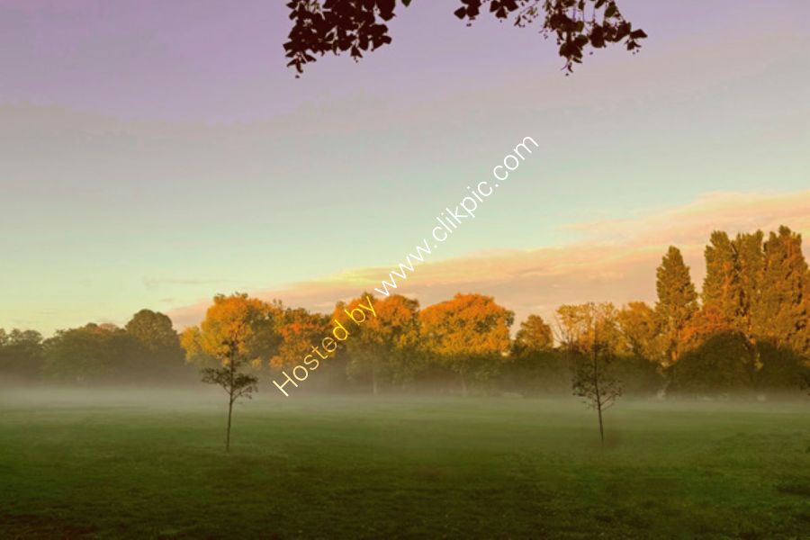 Misty Autumn Landscape