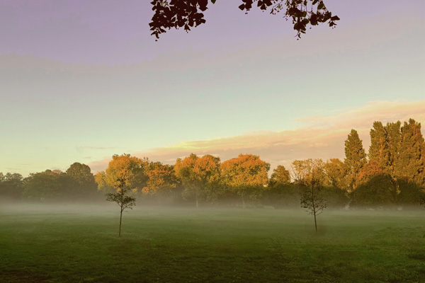 Misty Autumn Landscape