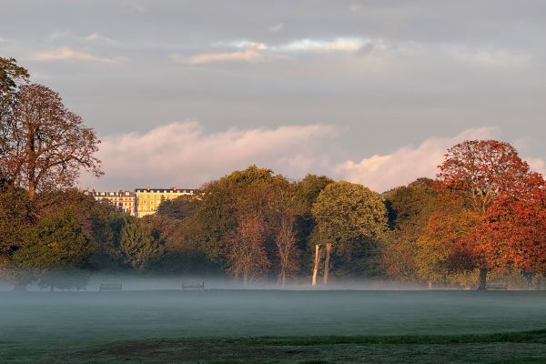 Misty Autumn Morning in the Park