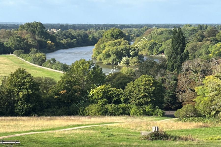 View from Richmond Hill
