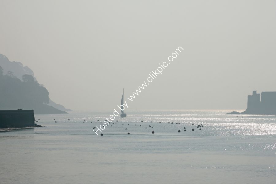 Sailing Boat on the Dart Estuary