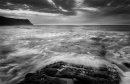 wh 50 High Tide 3 Mono