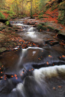 May Beck Autumn